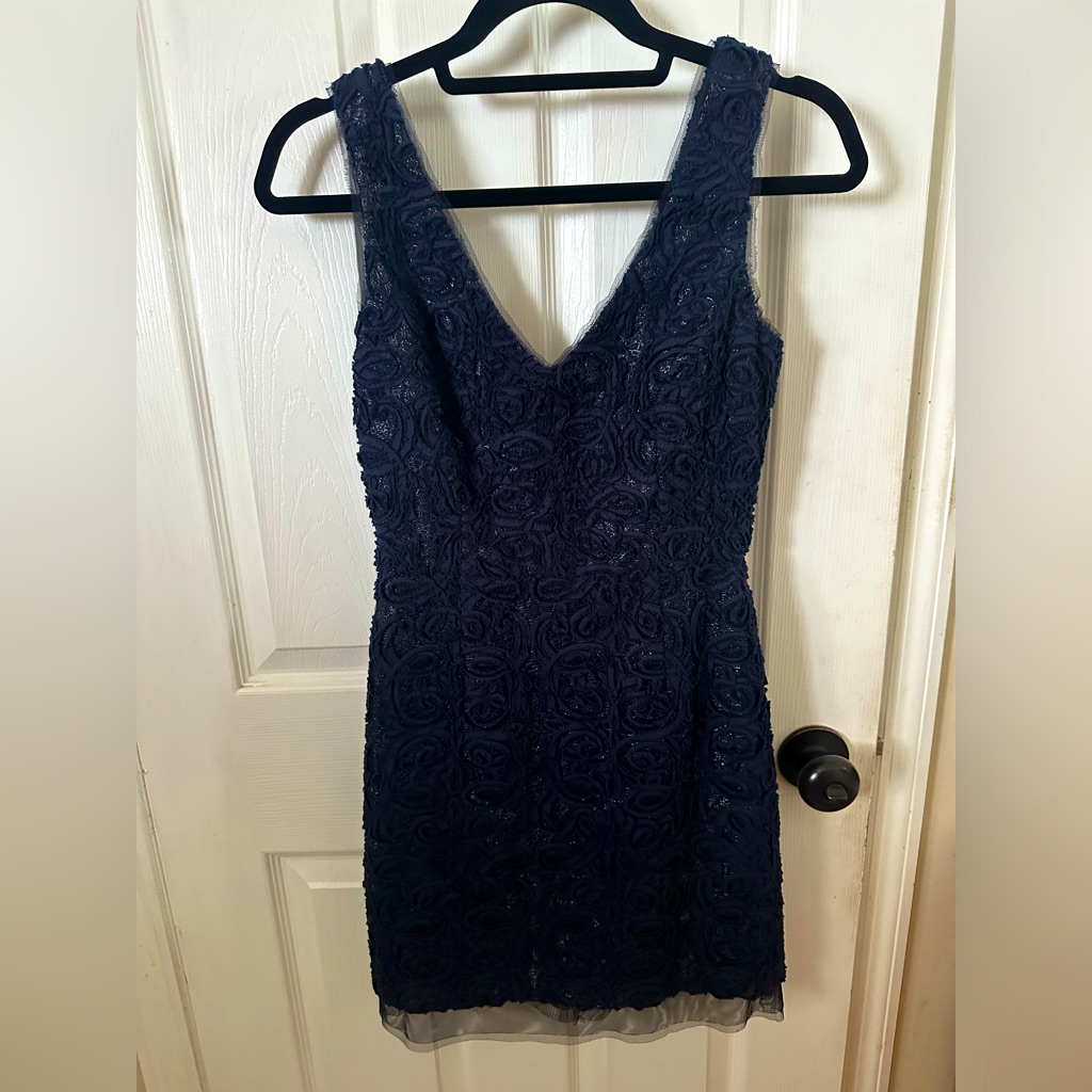Bcbgmaxazria Party/Cocktail Dress. Size:4
